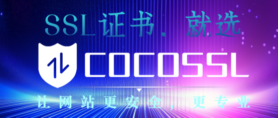 SSL证书和HTTPS：全面解析它们的功能与重要性