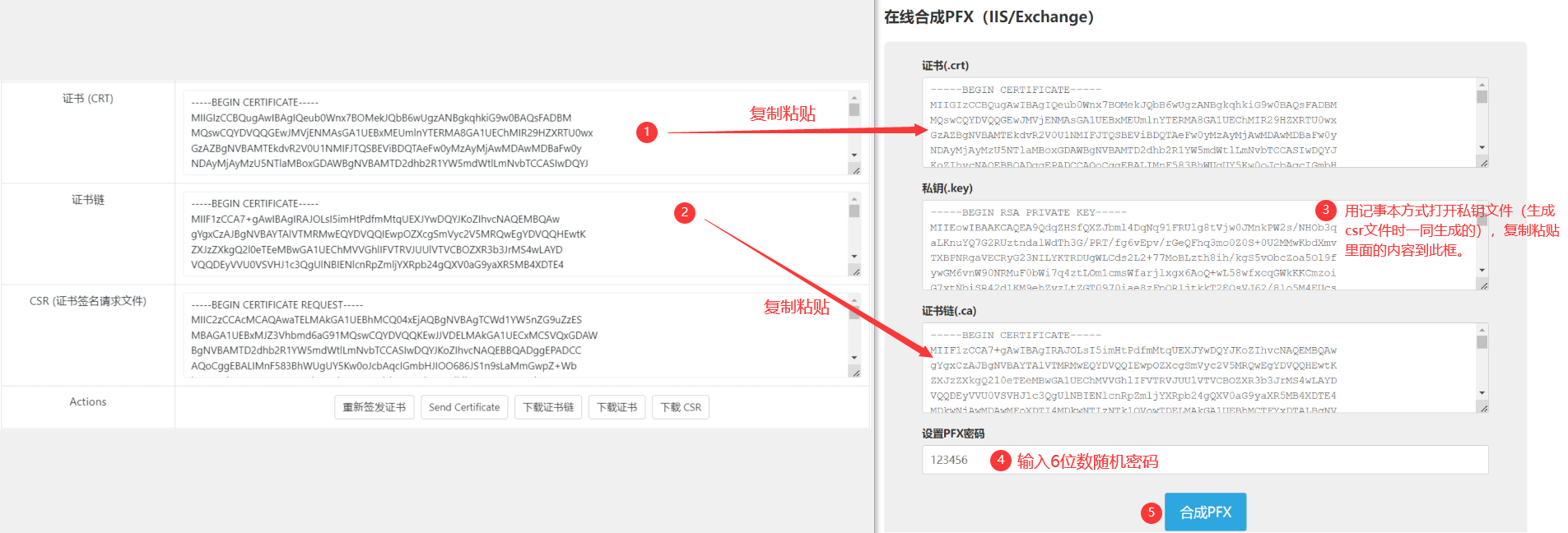 转换为IIS安装证书的所需pfx格式文件