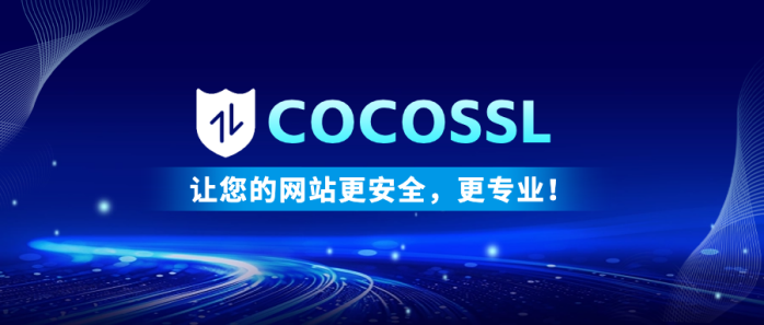 2024年SSL安全证书数据与趋势分析：为2025年安全浏览保驾护航3078